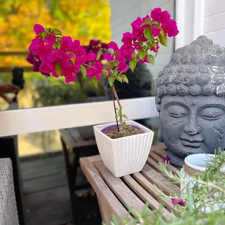 Solituede Appartement